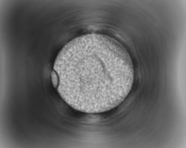 X0000088060328200706081654