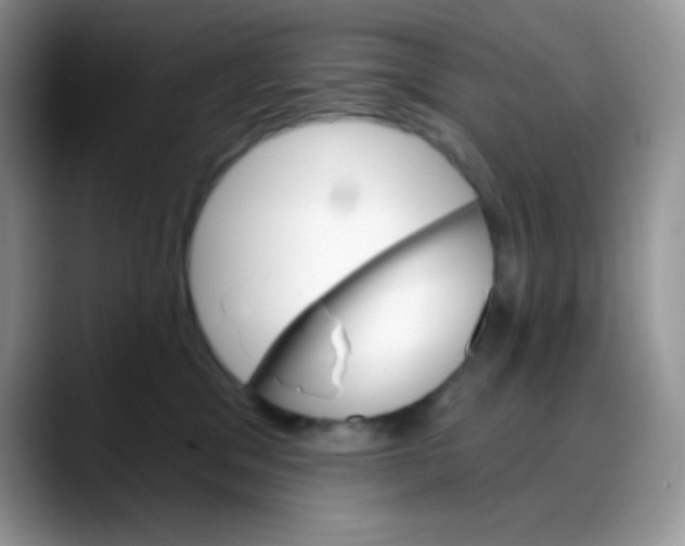 X0000088060329200706081654