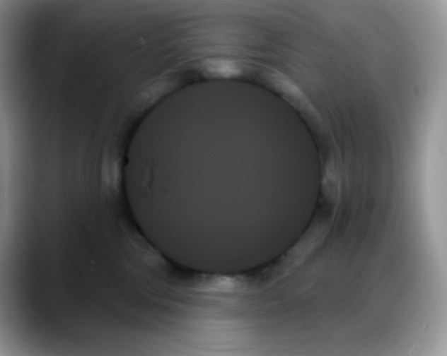 X0000088060330200706081654