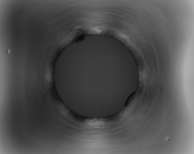 X0000088060331200706081654
