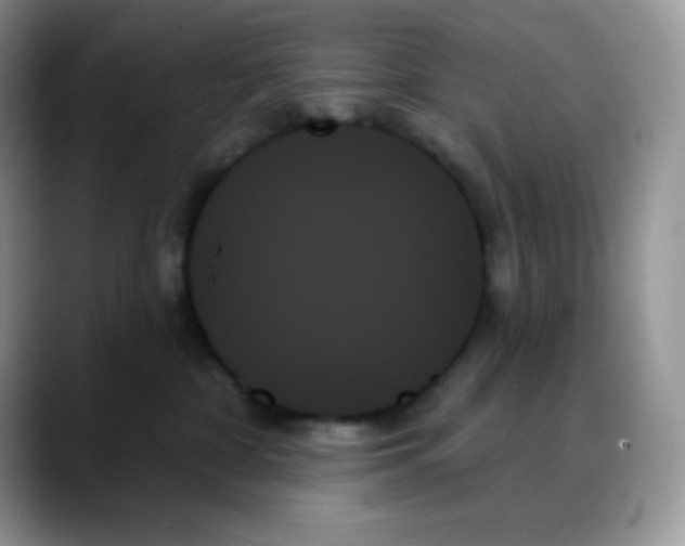 X0000088060332200706081654