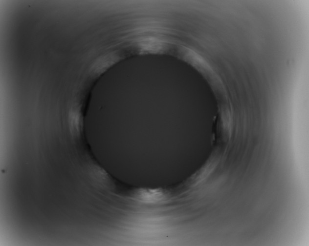 X0000088060333200706081654