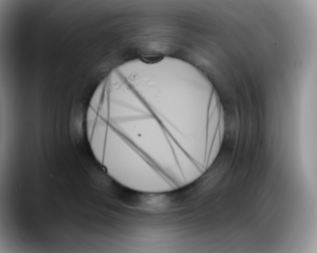 X0000088060334200706081654