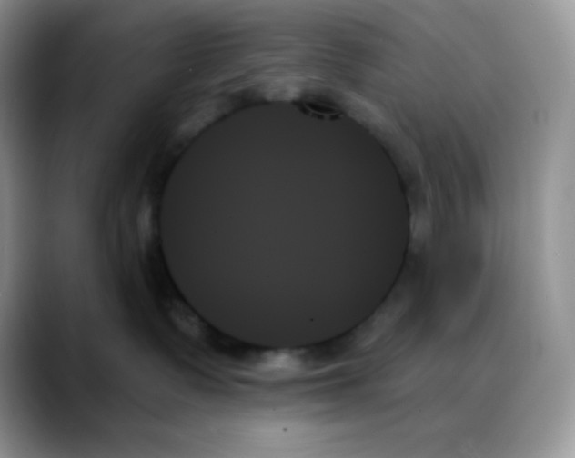 X0000088060335200706081654