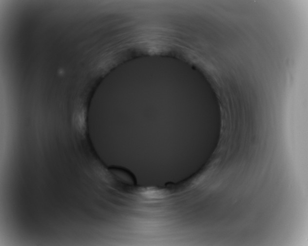 X0000088060336200706081654