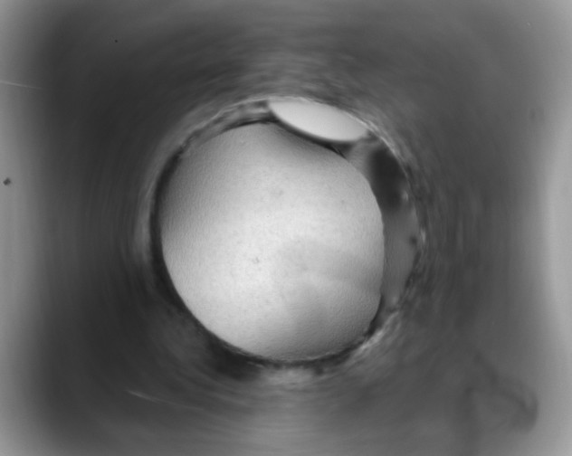 X0000088060340200706081654
