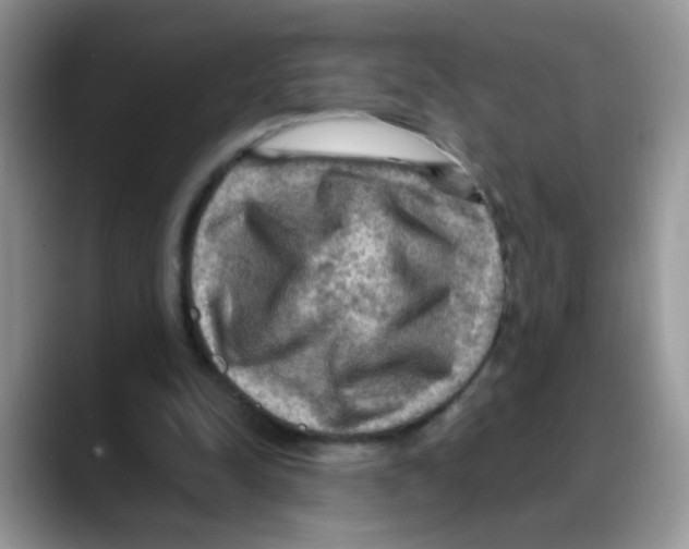 X0000088060342200706081654