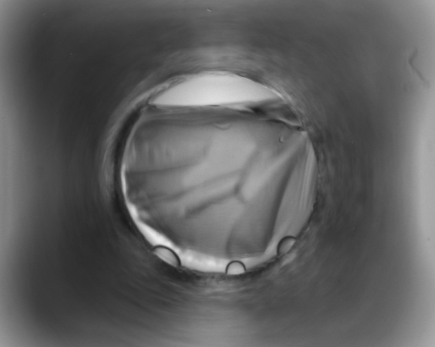 X0000088060343200706081654