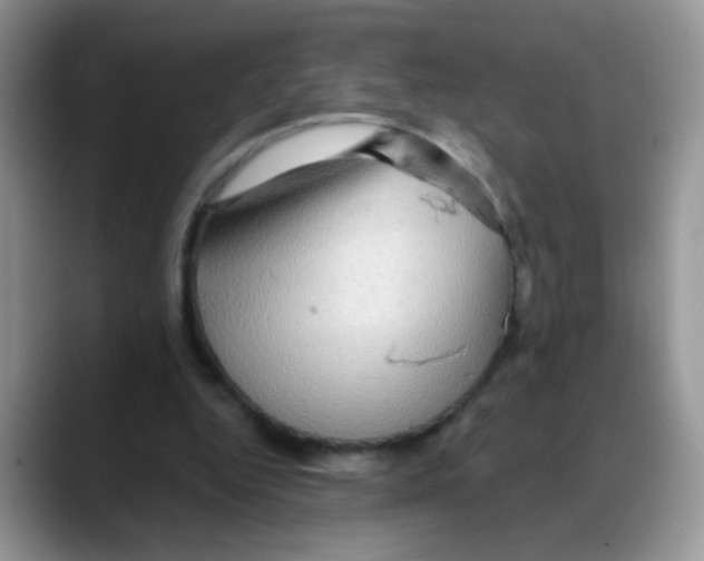 X0000088060344200706081654
