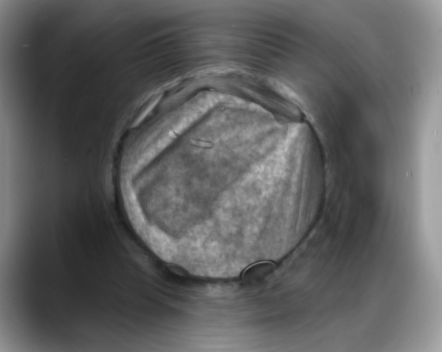 X0000088060345200706081654