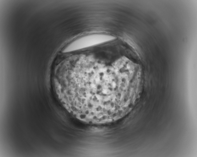 X0000088060346200706081654