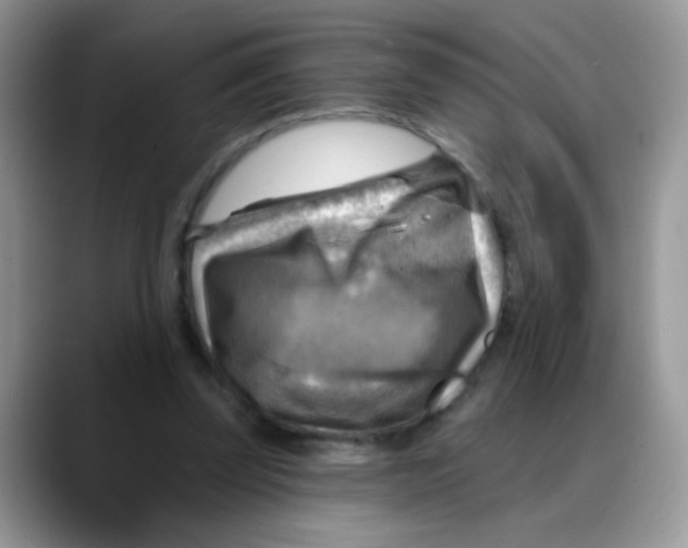 X0000088060347200706081654