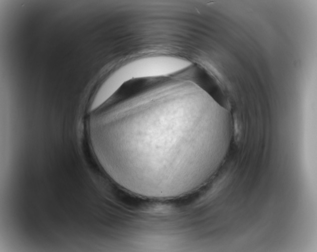 X0000088060348200706081654