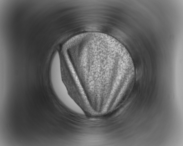 X0000088060349200706081654