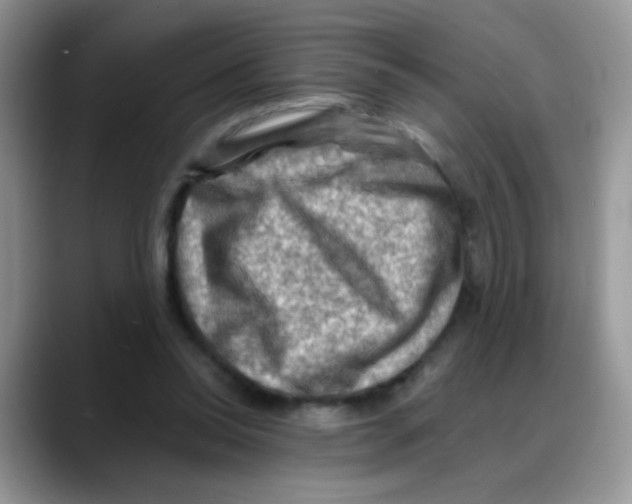 X0000088060350200706081654