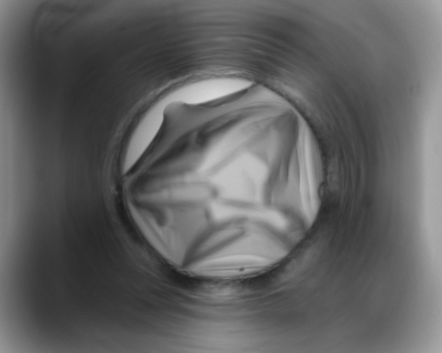 X0000088060351200706081654