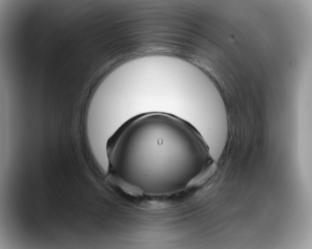 X0000088060352200706081654
