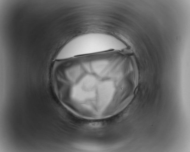 X0000088060353200706081654