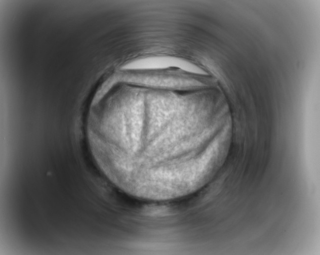 X0000088060354200706081654