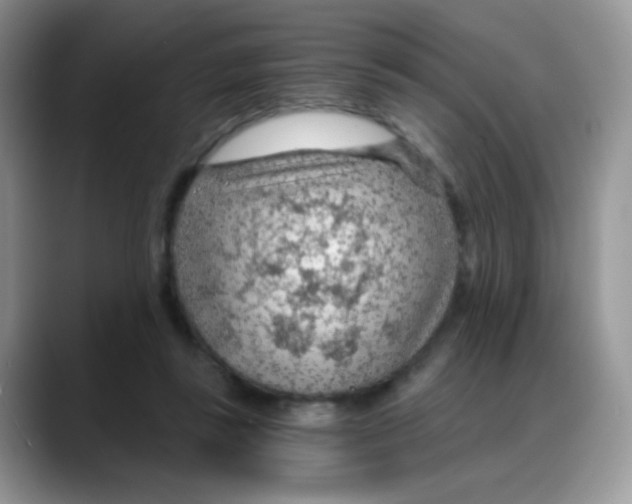 X0000088060355200706081654
