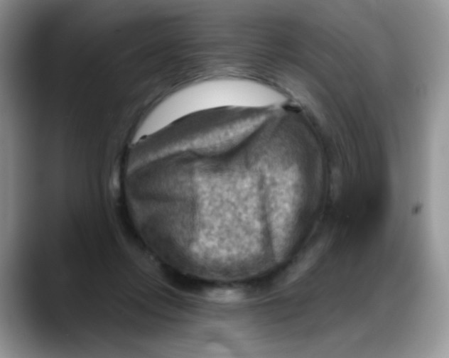 X0000088060358200706081654