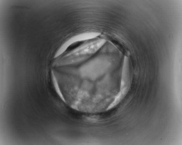 X0000088060359200706081654
