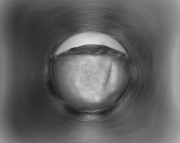 X0000088060360200706081654