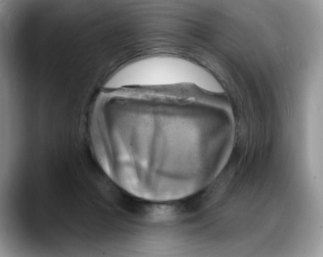 X0000088060361200706081654