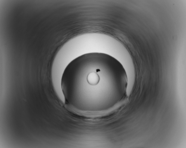 X0000088060362200706081654