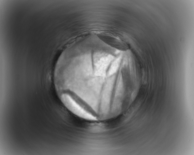 X0000088060363200706081654