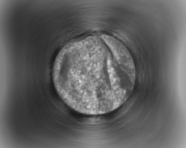 X0000088060366200706081654