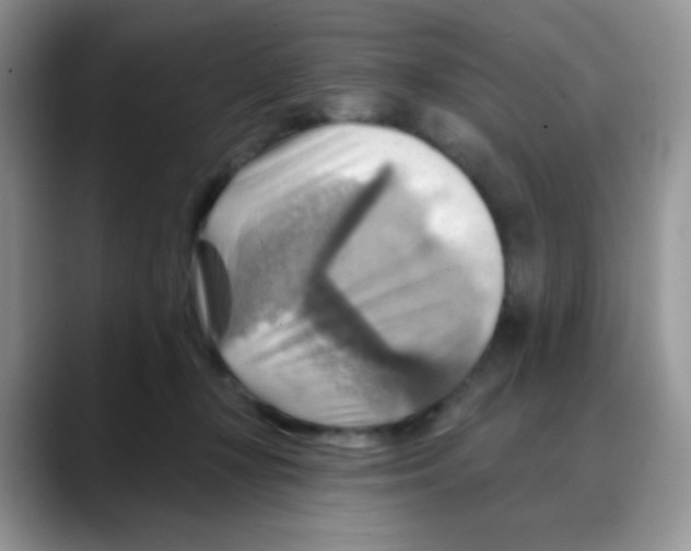X0000088060367200706081654