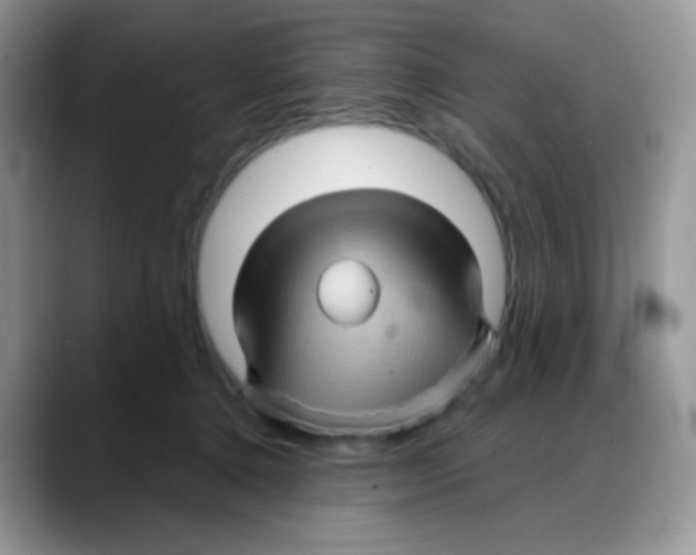 X0000088060368200706081654