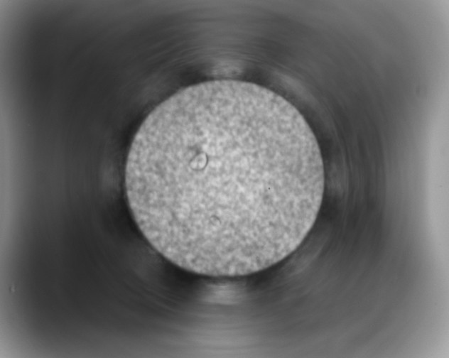X0000088060370200706081654