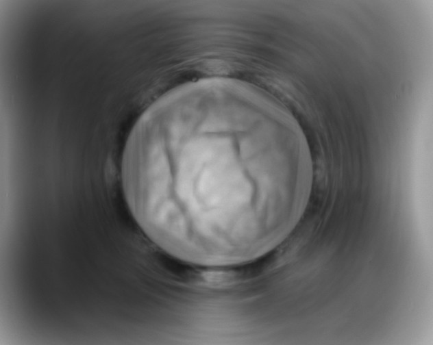 X0000088060371200706081654