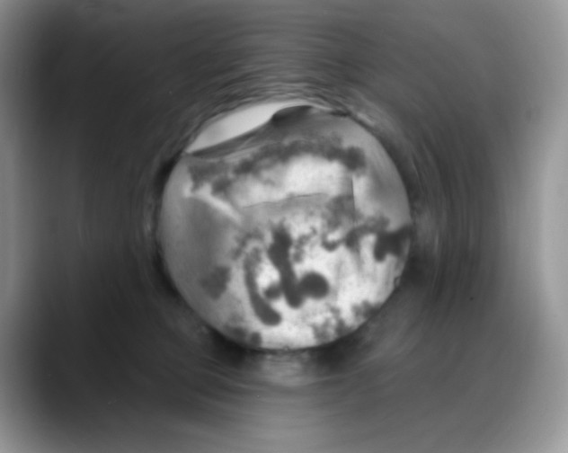 X0000088060373200706081654