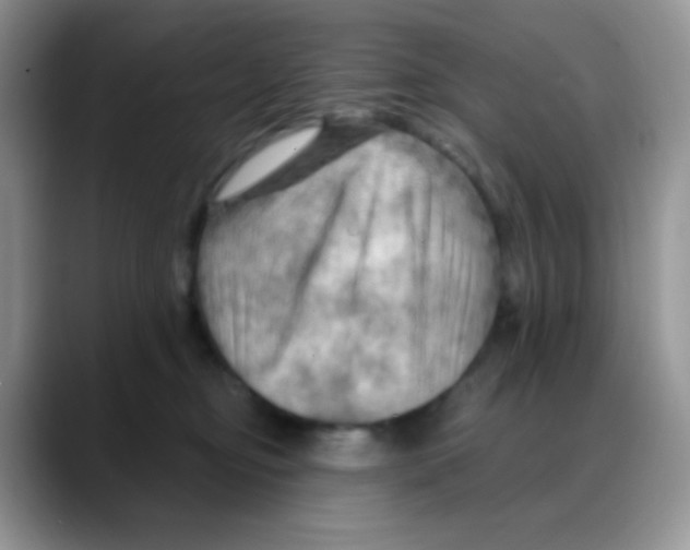 X0000088060374200706081654