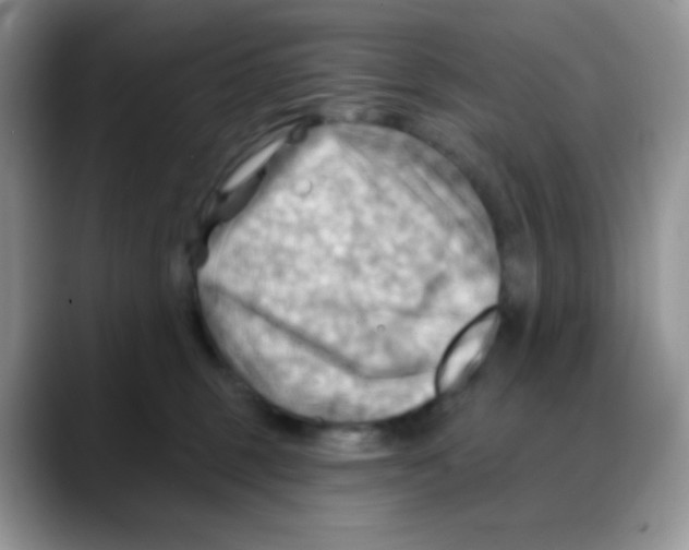 X0000088060375200706081654