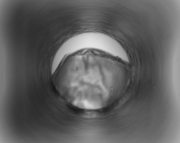 X0000088060376200706081654