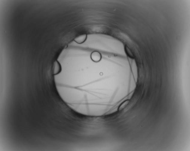 X0000088060377200706081654
