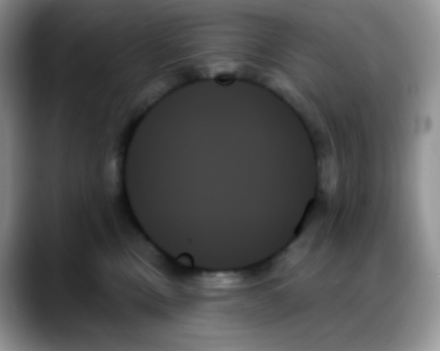 X0000088060378200706081654