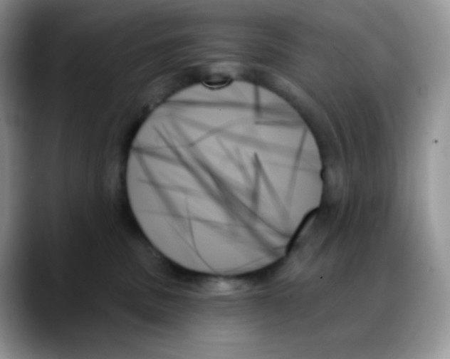 X0000088060379200706081654