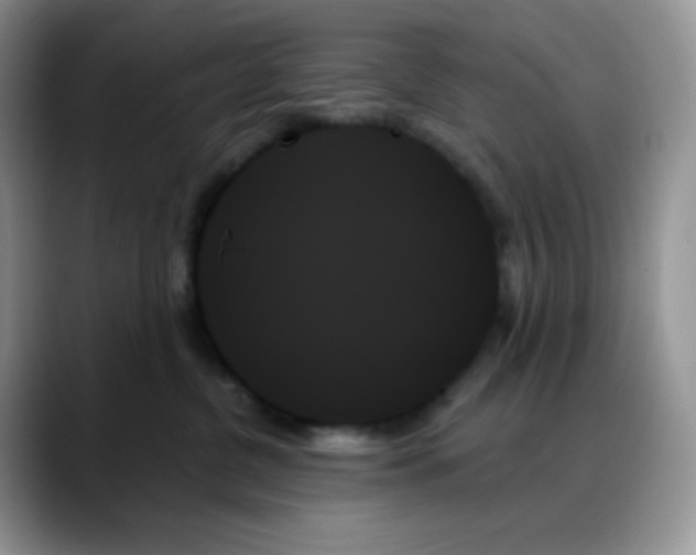 X0000088060380200706081654