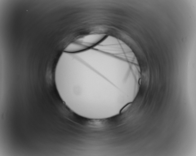 X0000088060381200706081654