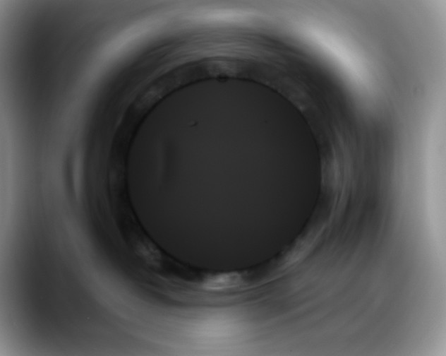 X0000088060382200706081654
