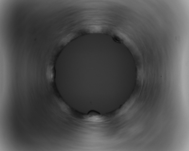 X0000088060383200706081654
