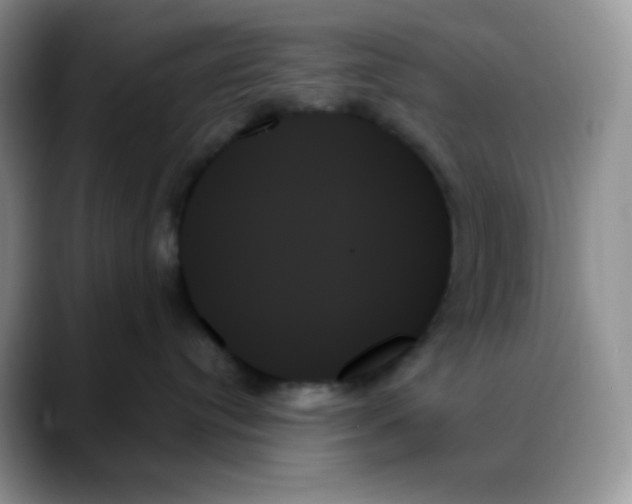 X0000088060384200706081654