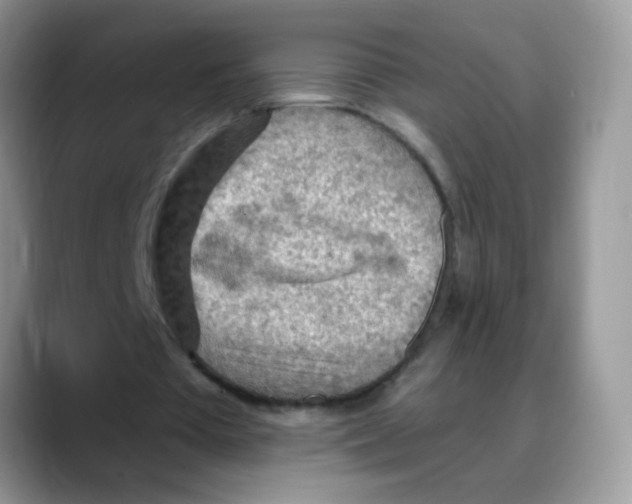 X0000088060385200706081654