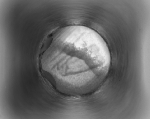X0000088060386200706081654