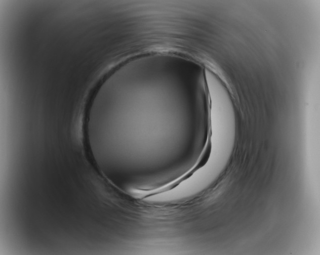 X0000088060387200706081654